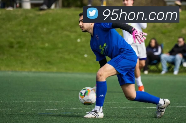 九五至尊官网全站App